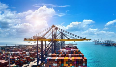Container ship and cranes at a busy port